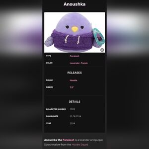 8" Anoushka • Official Squishmallow of the Hoodie Squad